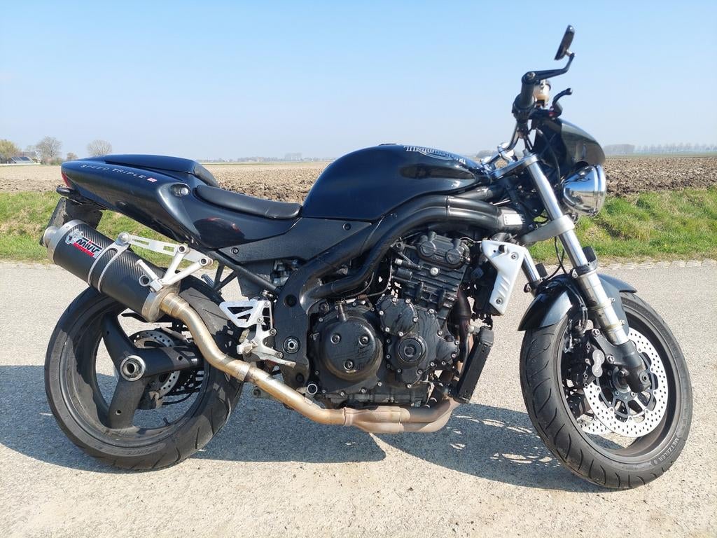 Triumph Speed Triple 955i uit 2003, Motoren, Motorrijbewijs A, 3 cilinders, Particulier, Meer dan 35 kW