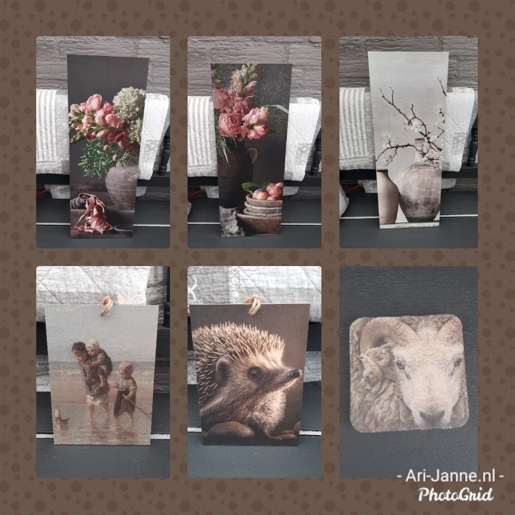 Landelijke deco borden, wanddecoratie, schilderij, Hout, Meerkleurig, Nieuw, Ophalen of Verzenden