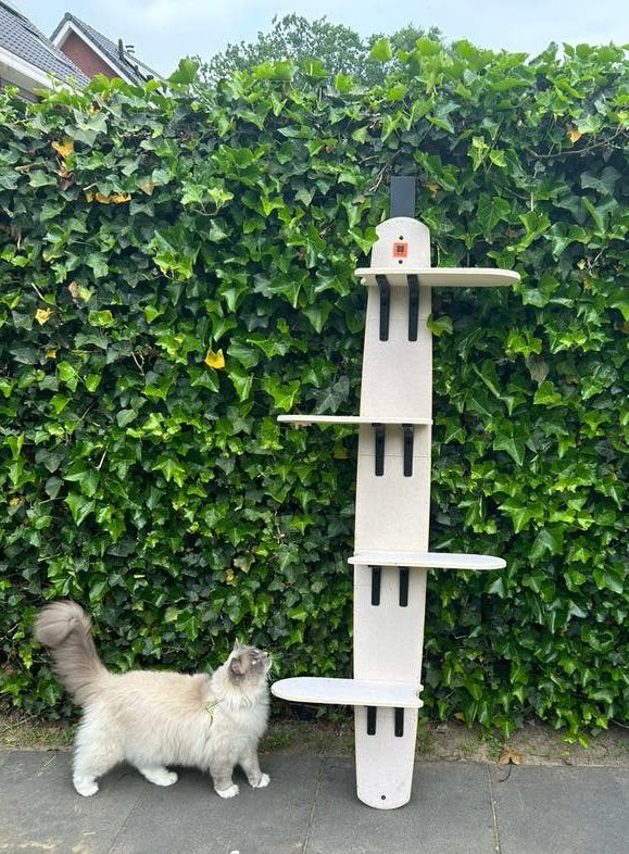 Hangende krabpaal - hanging cat tree, Dieren en Toebehoren, Krabmeubelen, Ophalen, Nieuw, Krabpaal