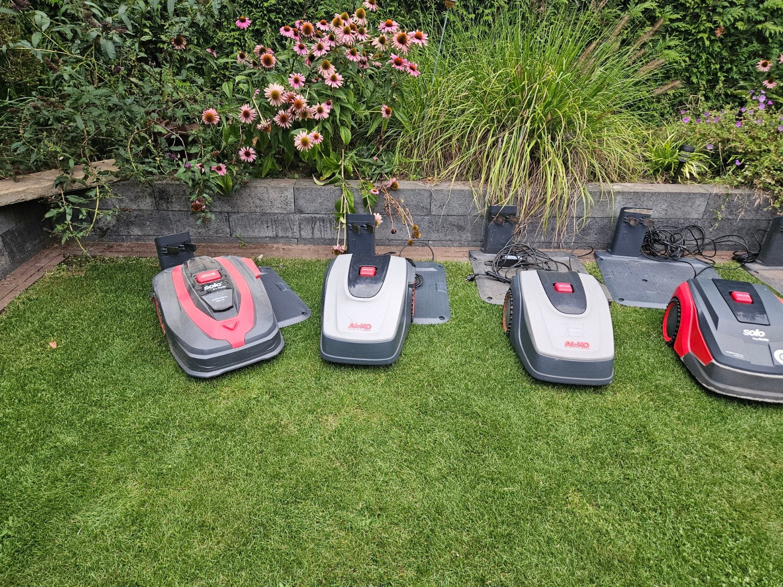 Alko Robolinho robotmaaiers, Ophalen, Bestuurbaar via app, Zo goed als nieuw, 20 tot 25 cm