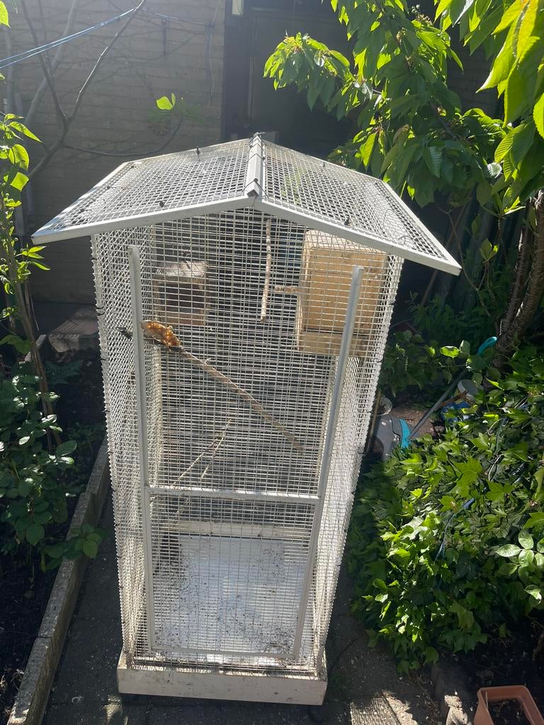 Kooi te koop, Dieren en Toebehoren, Ophalen of Verzenden, Zo goed als nieuw, Metaal, Vogelkooi