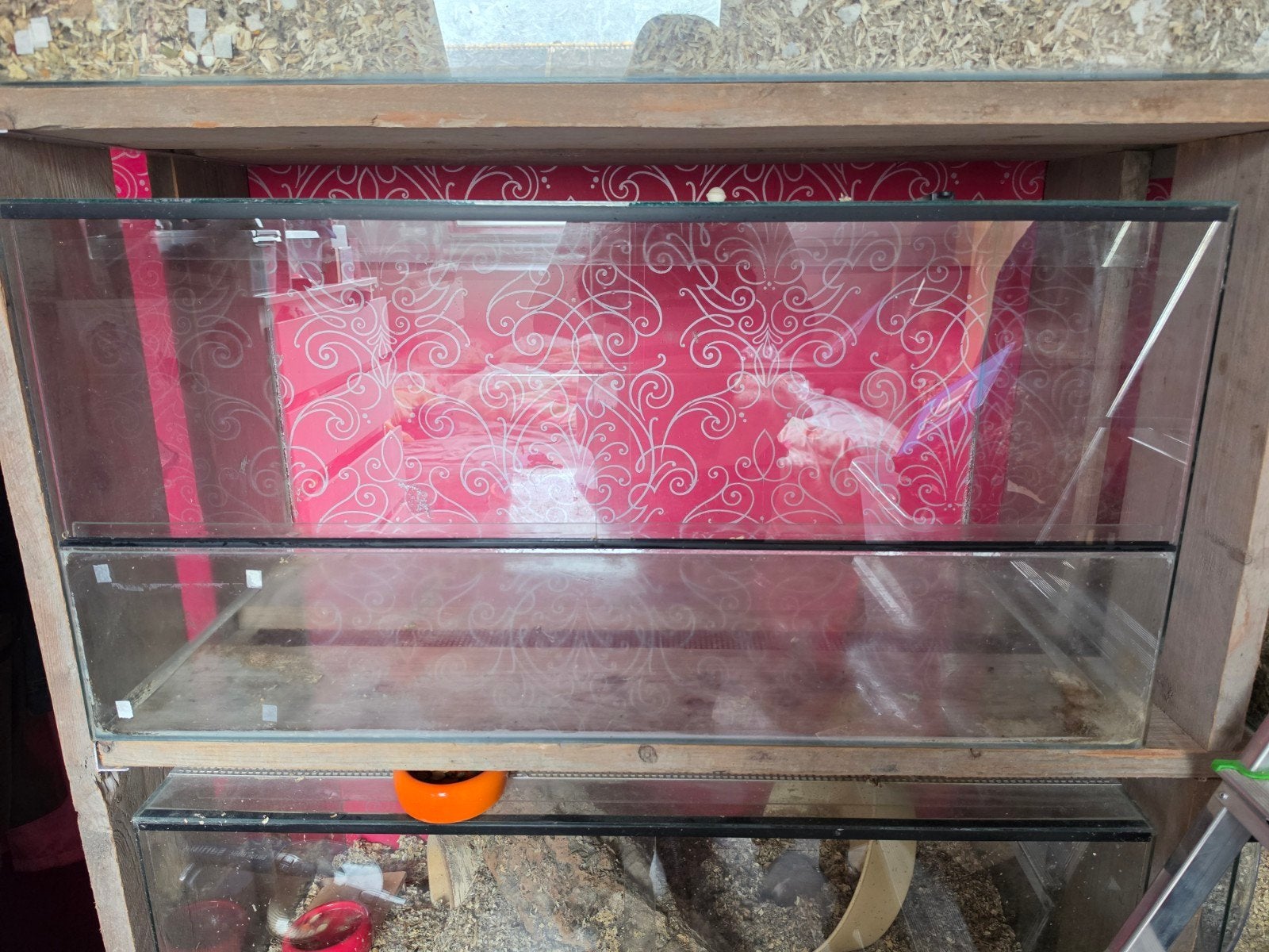 Knaagdierterrarium volglas. 100x50x50 4 stuks, Dieren en Toebehoren, Gebruikt, Hok, Hamster, 75 tot 110 cm