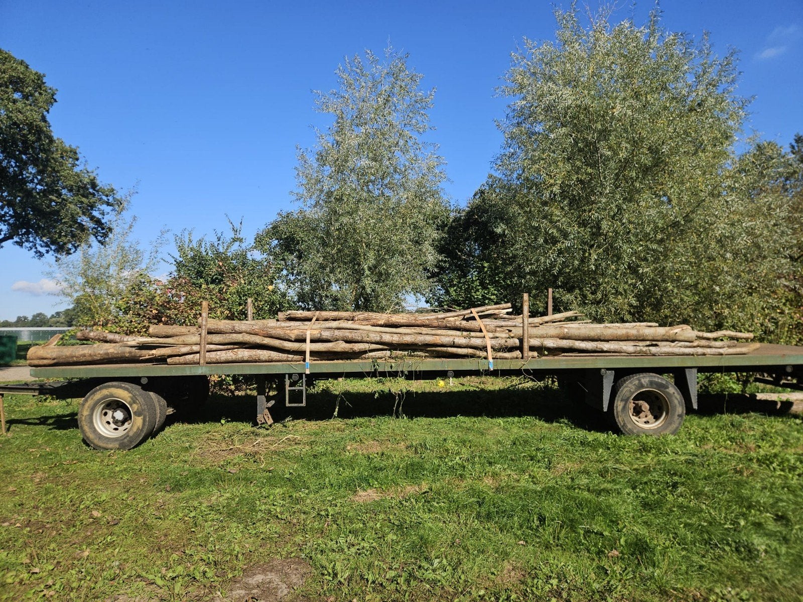 te koop brandhout stammen: Essen Elzen., 3 tot 6 m³, Ophalen, Overige houtsoorten, Stammen