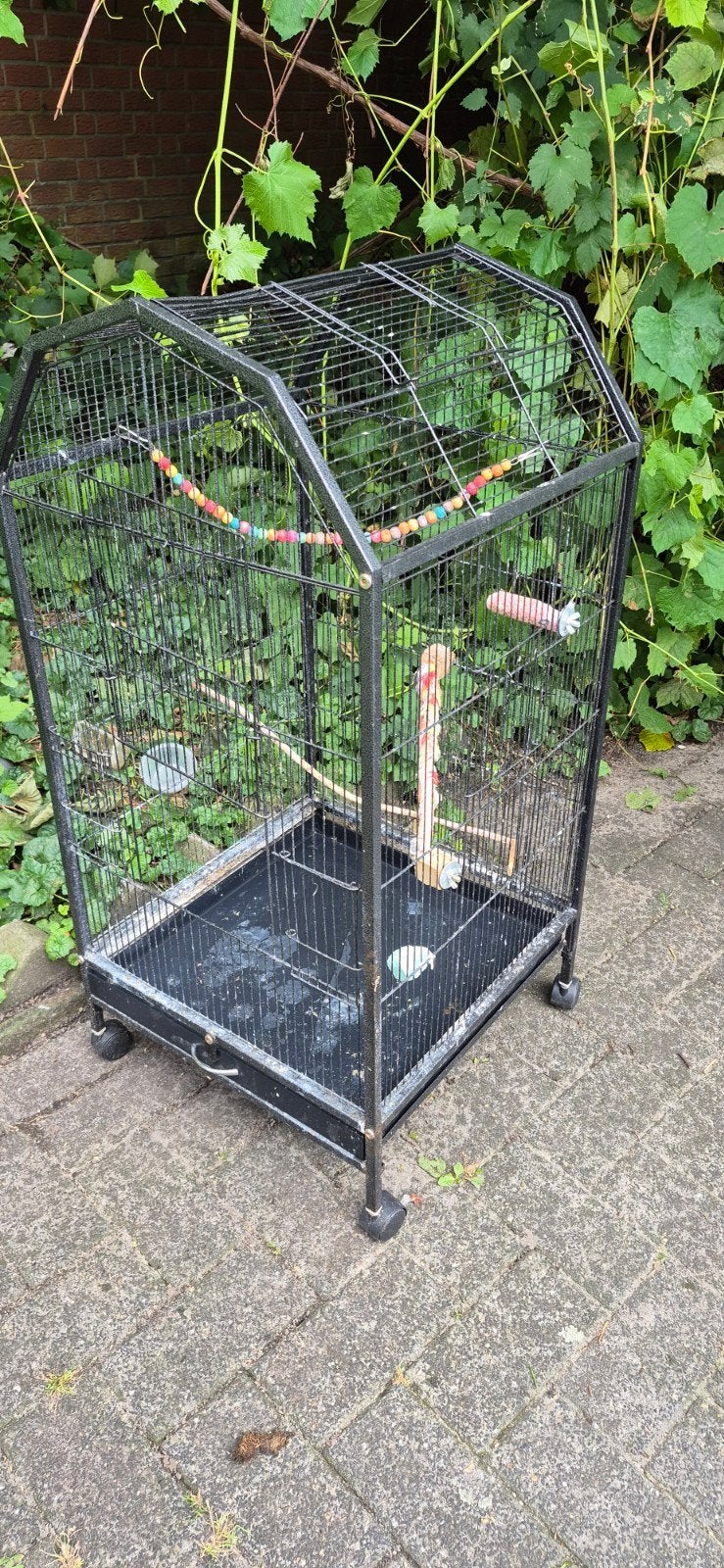 kooi te koop, Ophalen of Verzenden, Zo goed als nieuw, Metaal, Vogelkooi