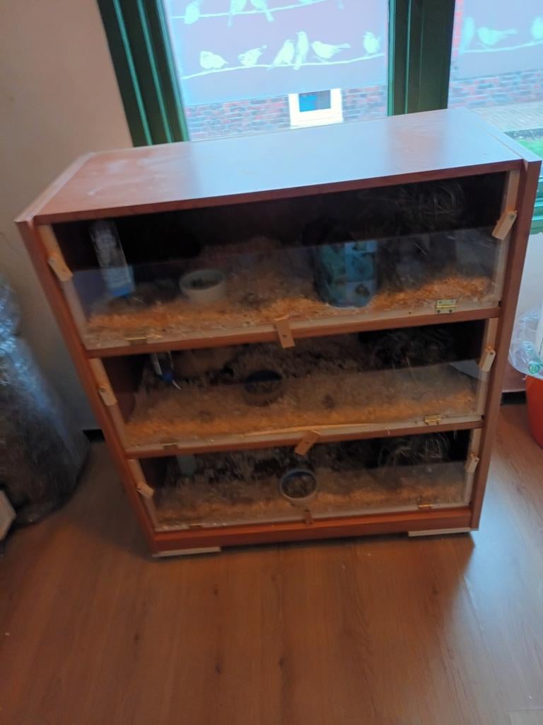 Caviastal, Ophalen, 110 cm of meer, 90 cm of meer