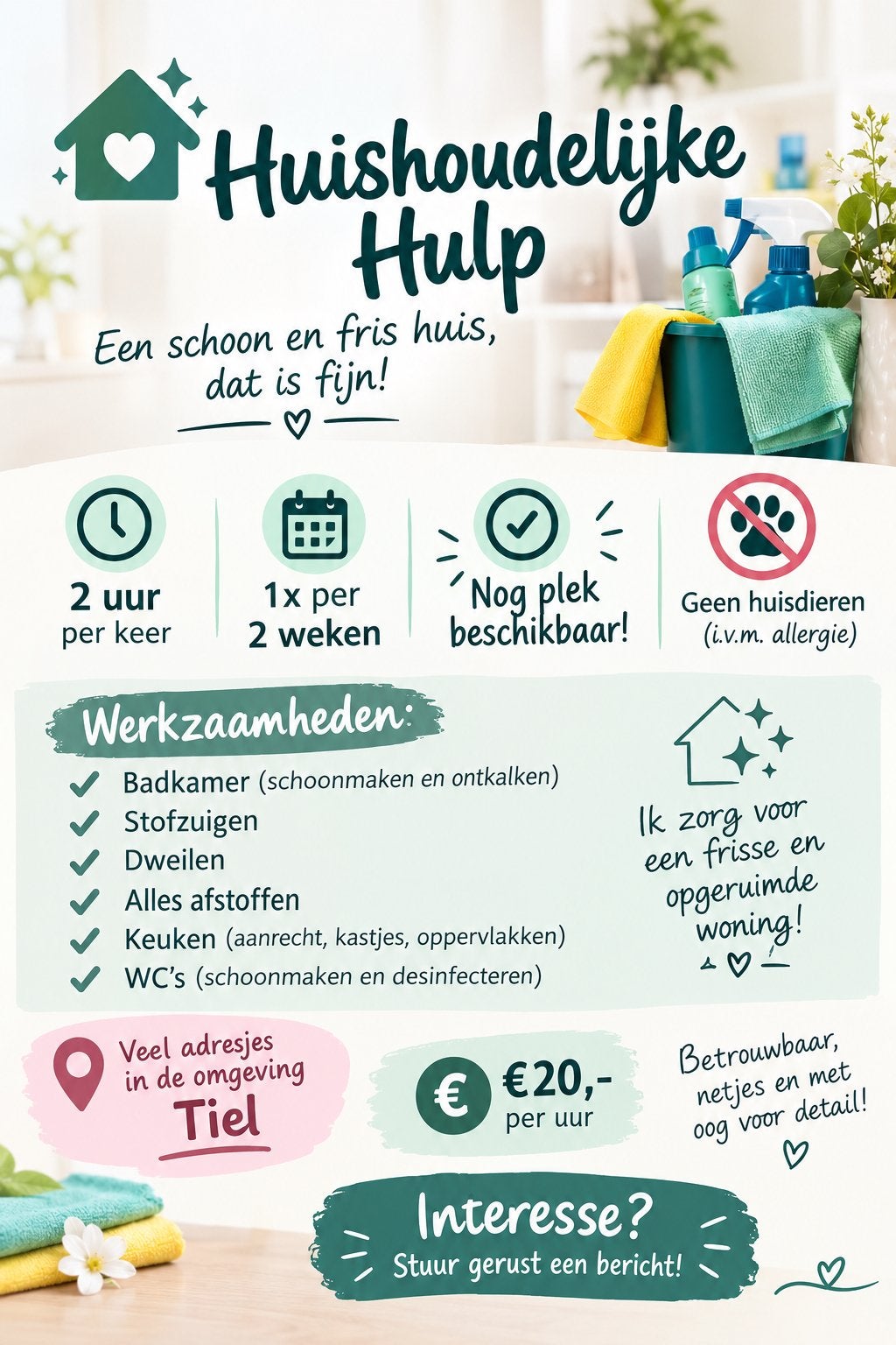 Huishoudelijke hulp aangeboden, Overige vormen