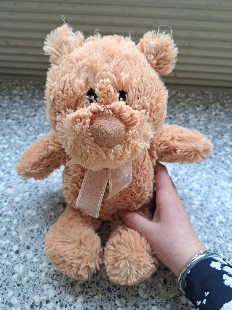 Teddybeer, beer, knuffel, Ophalen of Verzenden, Zo goed als nieuw, Beer