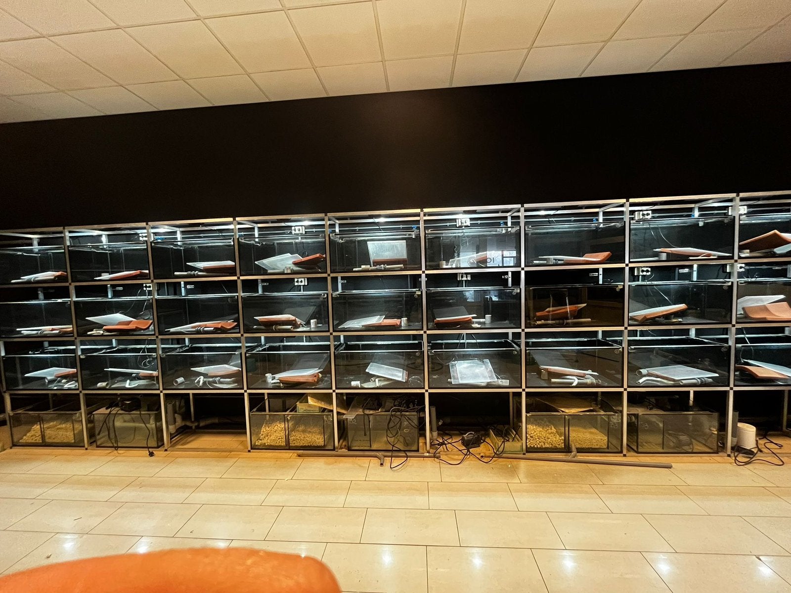 Complete aquarium stelling met biologen, Ophalen, Overige merken, Zo goed als nieuw, Leeg aquarium
