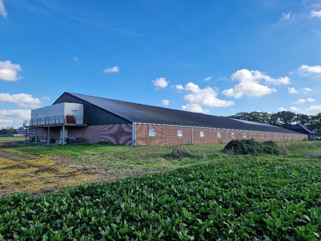 Varkensstal, Ophalen, Tot 1 ha, Varkenshouderij