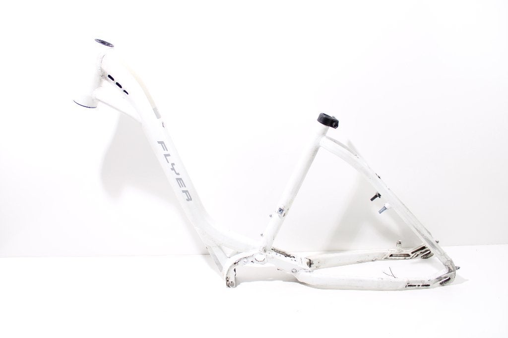 Frame | maat M | 2015 | Panasonic motor | Flyer T-serie, Fietsen en Brommers, Elektrische fiets, Gebruikt, -, -