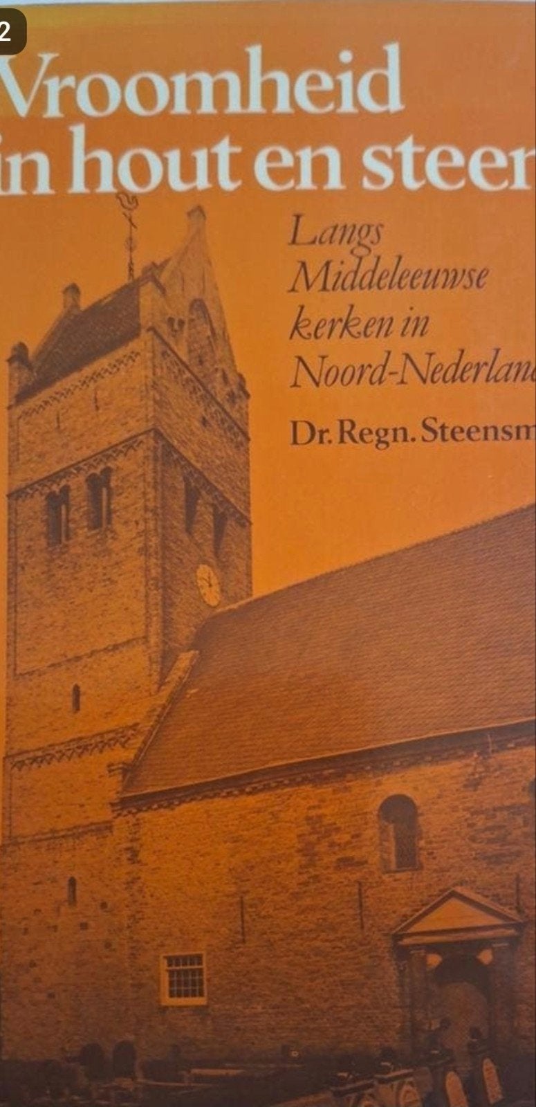 Regnerus Steensma - Vroomheid in hout en steen, Ophalen of Verzenden, Regnerus Steensma, 20e eeuw of later, Gelezen