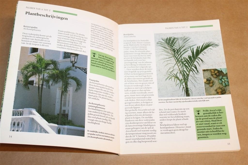 Palmen en Andere Grote Kamerplanten — Plantengids, Ophalen of Verzenden, Gelezen, Interieur en Design