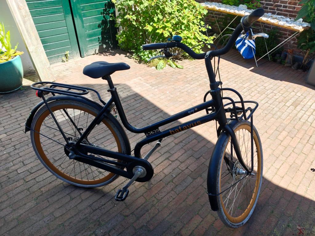 Batavus Damesfiets Quip met voordrager, Fietsen en Brommers, Ophalen, Velgrem, Versnellingen, Batavus