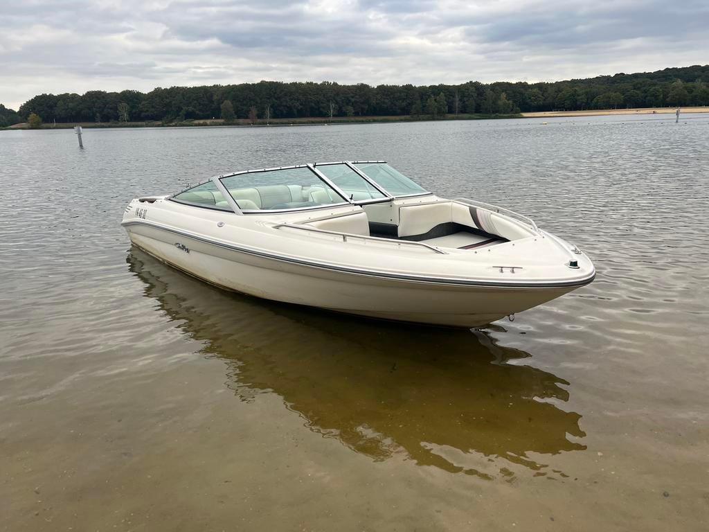 Sea ray 170 sport Mercruiser 4,3L V6 moter gereviseerde, Watersport en Boten, Ophalen, Gebruikt, Binnenboordmotor, 120 tot 200 pk