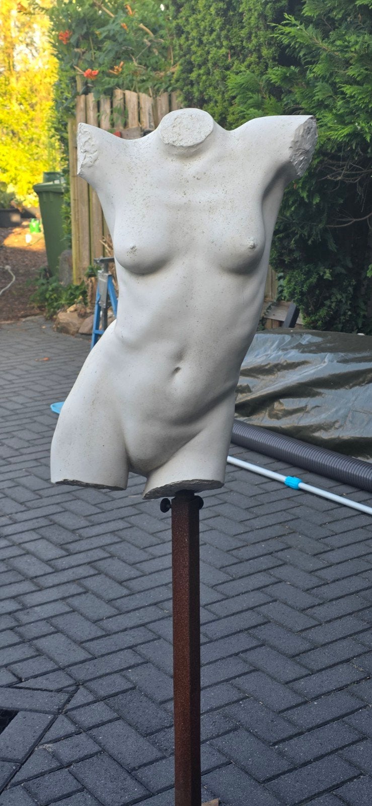 Vrouwelijke Torso, Ophalen