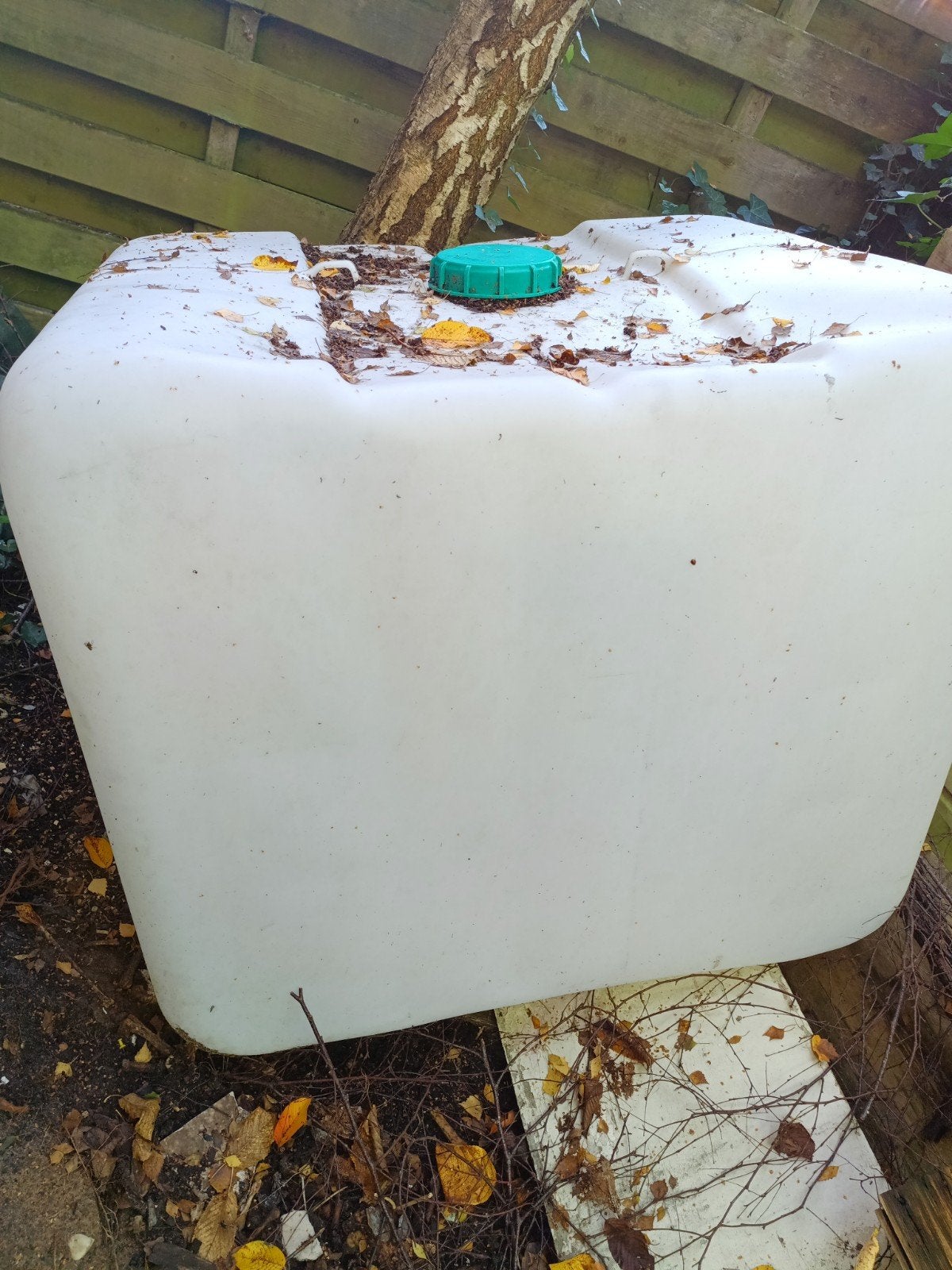 IBC Regenopvangtank 1m³ - Schoon Gebruikt, 150 liter of meer, Ophalen, Gebruikt, Kunststof