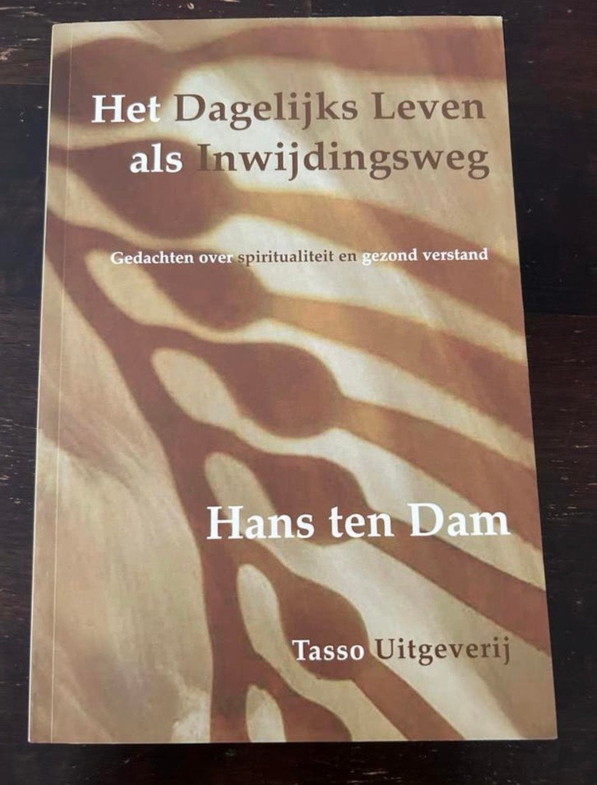 Het Dagelijks Leven als Inwijdingsweg - Hans ten Dam, Boeken, Ophalen of Verzenden, Gelezen, Spiritualiteit algemeen, Instructieboek