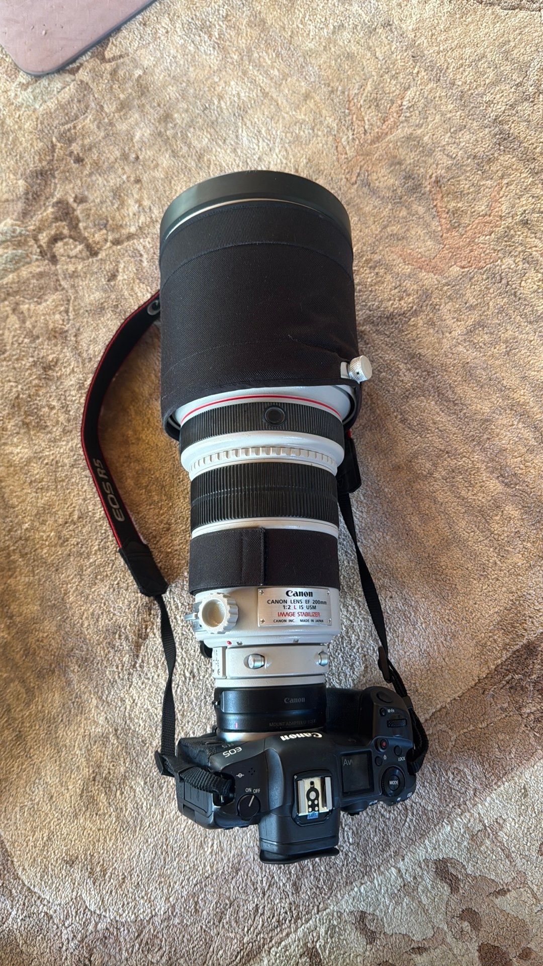 Canon EF 200-400mm f/4 L IS USM (Built-in 1.4x Extender)