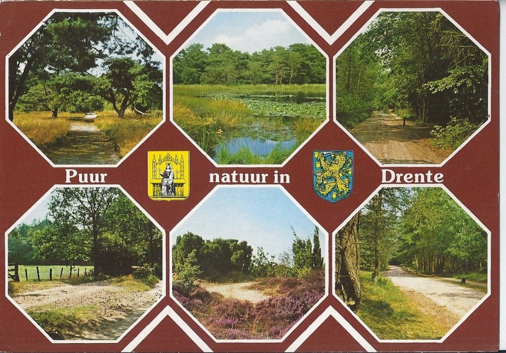V9 Gelopen ansichtkaart puur natuur Drenthe, Ophalen of Verzenden, 1980 tot heden, Gelopen, Drenthe