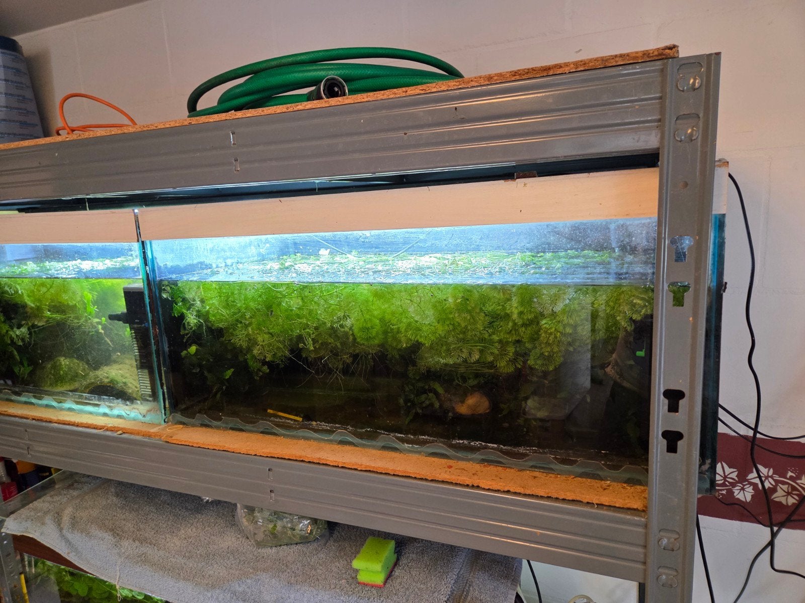 2 volglazen aquariums 80 cm breed, 40 diep en 35 hoog, Ophalen, Gebruikt, Leeg aquarium