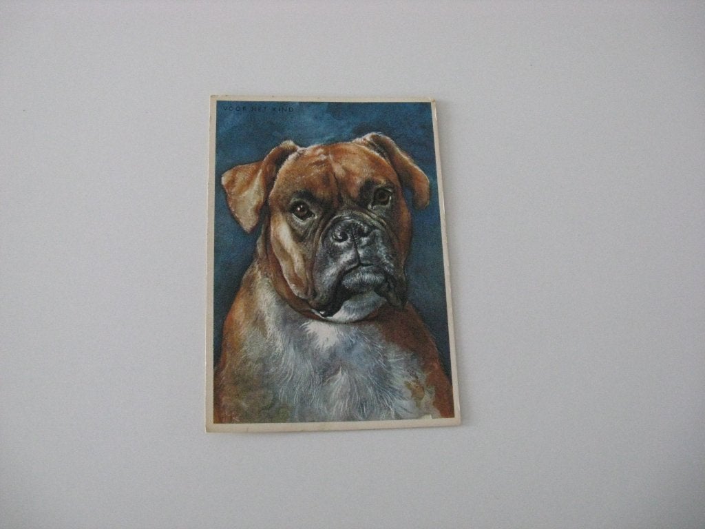 6 honden  1 Boxer  gelopen ansichtkaart 2 Herdershond. etc., Ophalen of Verzenden, Voor 1920, Ongelopen, Overige soorten