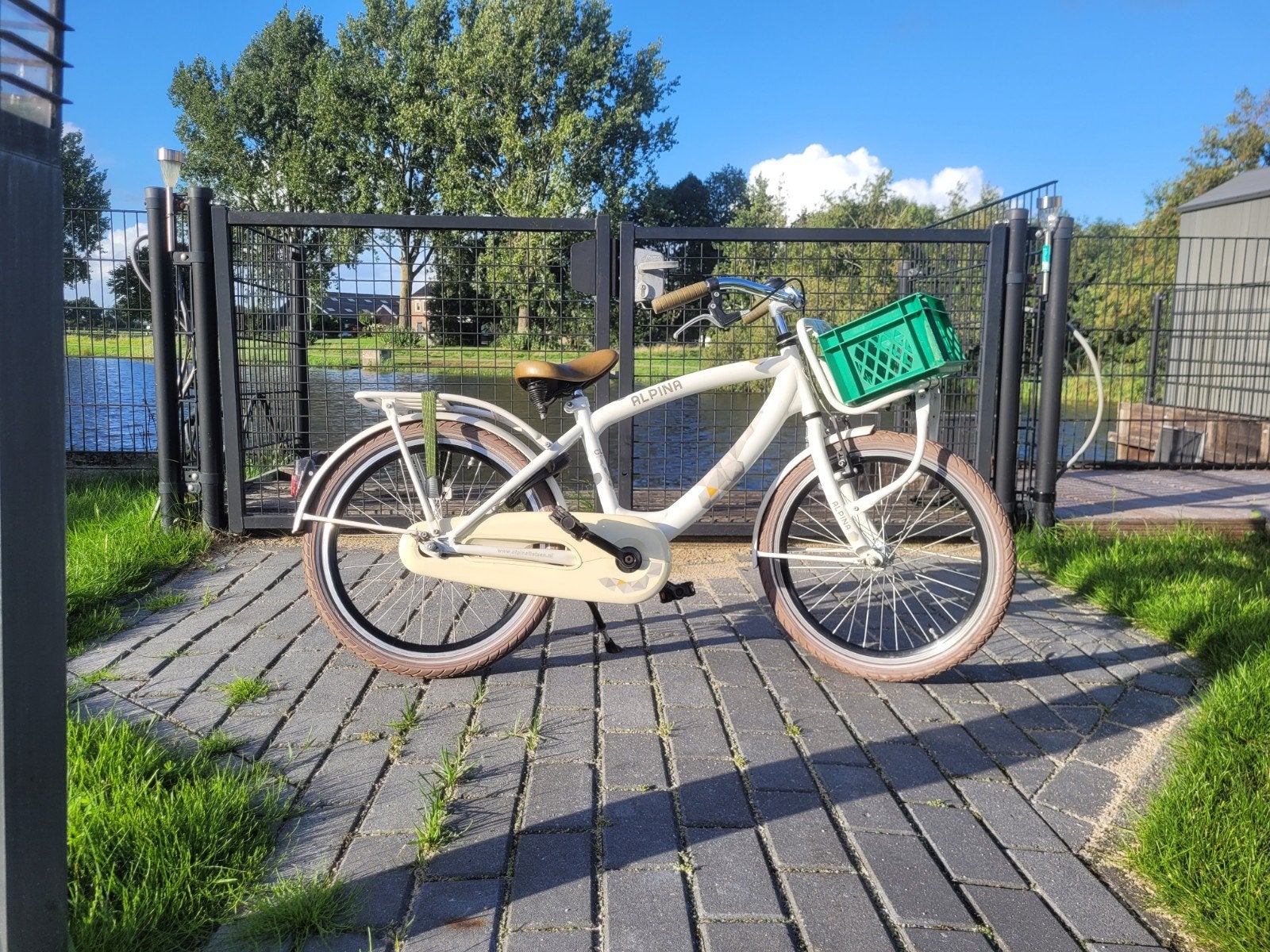 Alpina 20 inch jongensfiets, Fietsen en Brommers, Ophalen, Terugtraprem, Alpina Clubb, 20 inch