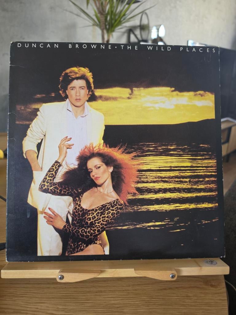 Lp: Duncan browne - the wild places, Cd's en Dvd's, Ophalen of Verzenden, Gebruikt, 12 inch
