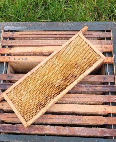Te koop gevraagd Uitgeboude broedkamer  raam spaarkast, Bijen