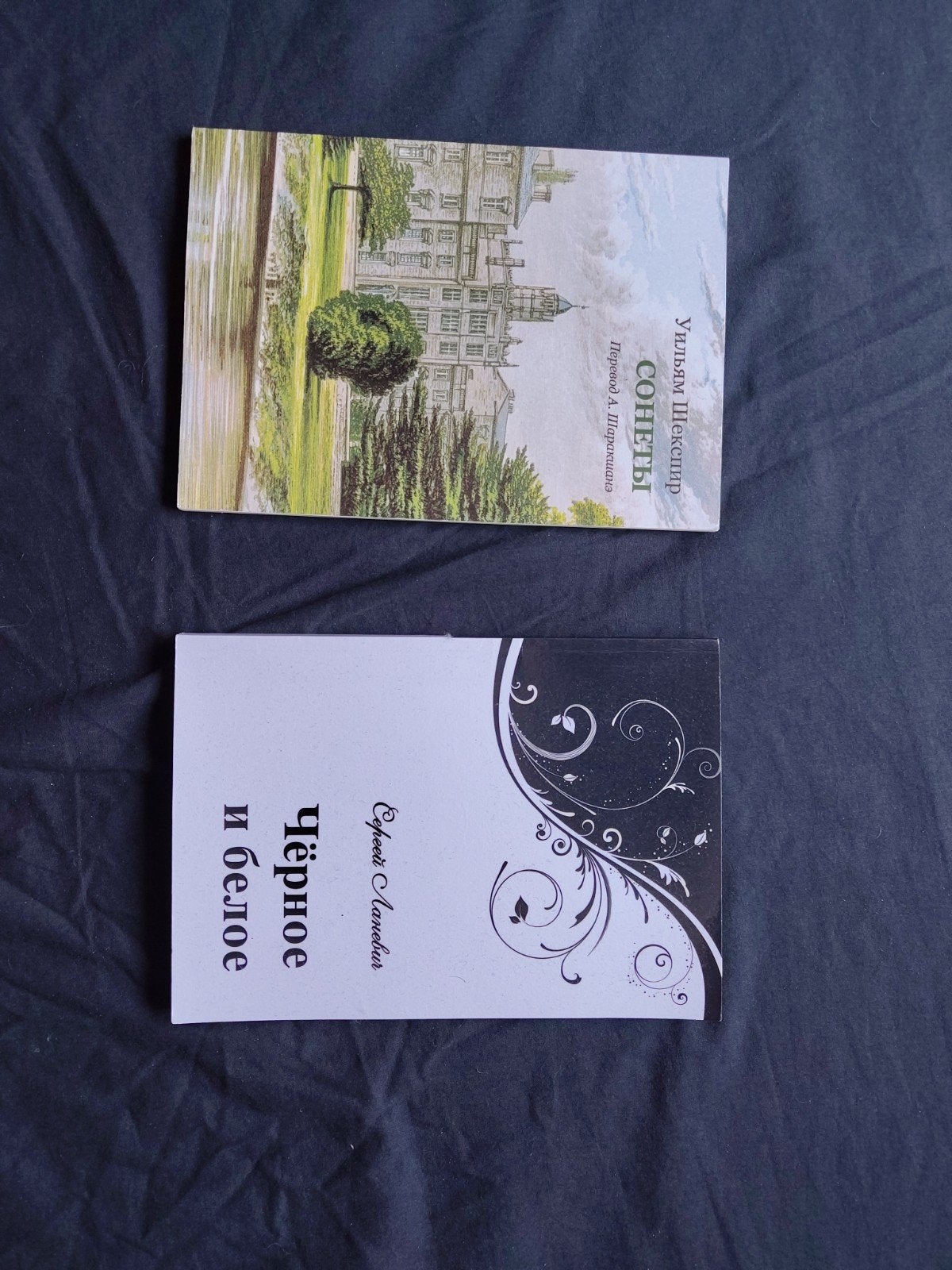 Russische Poezië Boeken, Ophalen of Verzenden, Zo goed als nieuw
