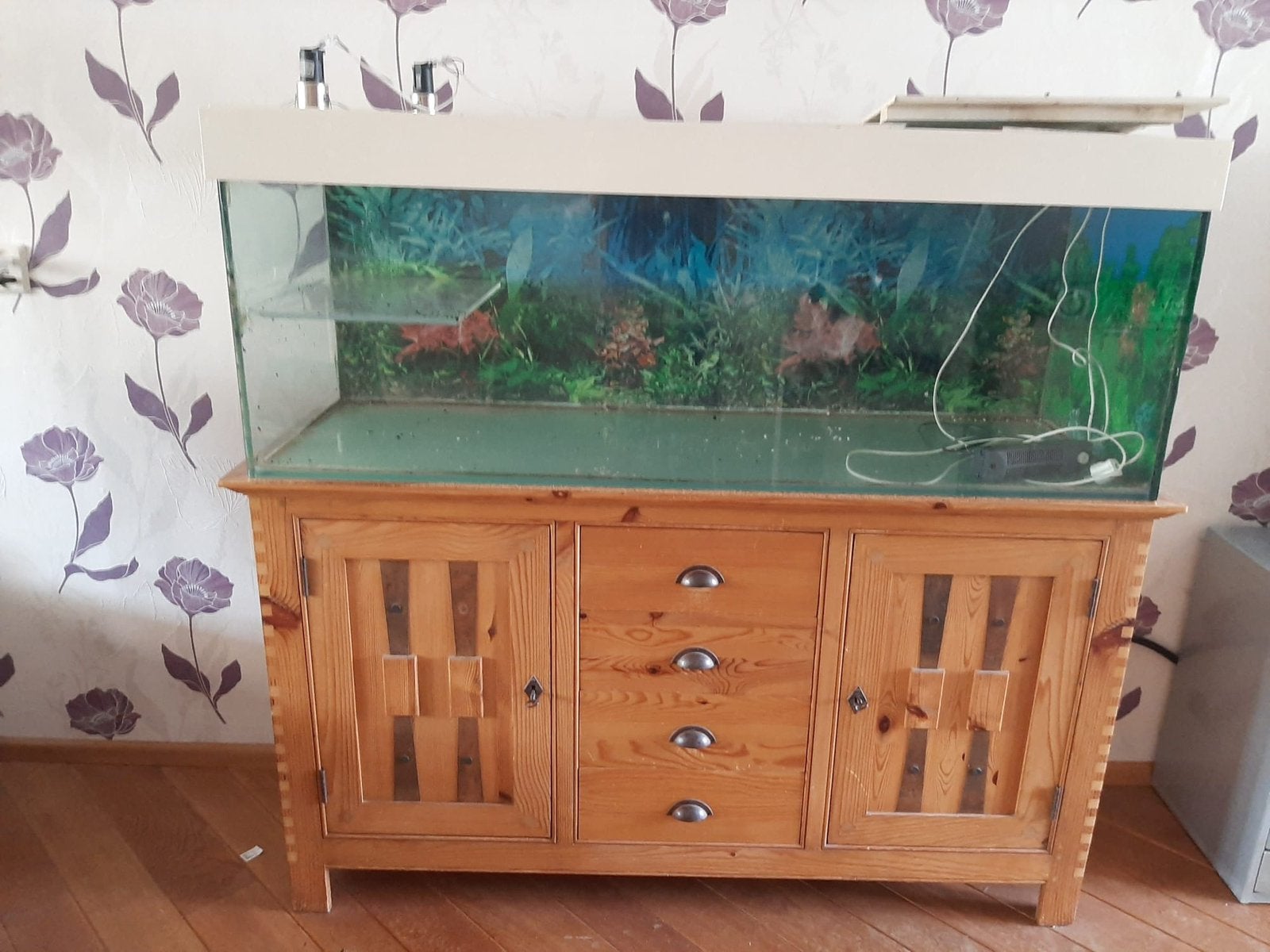 Terrarium 150L/50B/55H, Ophalen, Gebruikt