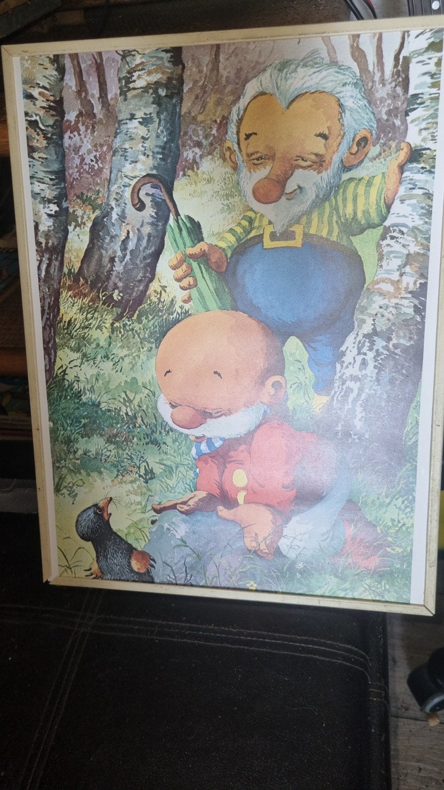 paulus de boskabouter  ingelijste, Eén stripboek, Ophalen of Verzenden, Gelezen, Rien Poortvliet