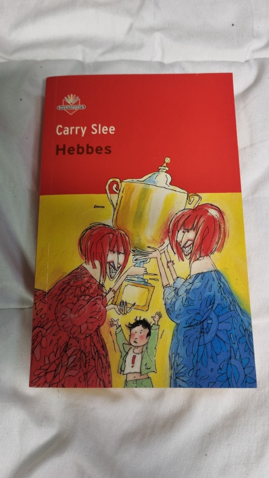 Hebbes - Carry Slee (Malmberg) - Gelezen kinderboek 8-10, Ophalen of Verzenden, Gelezen, Carry Slee, Fictie