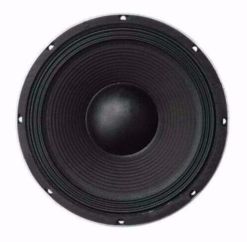 25 Cm Bass Speaker 300 Watt 8 Ohm [L041B-ELL], Overige merken, ., Overige typen, Nieuw