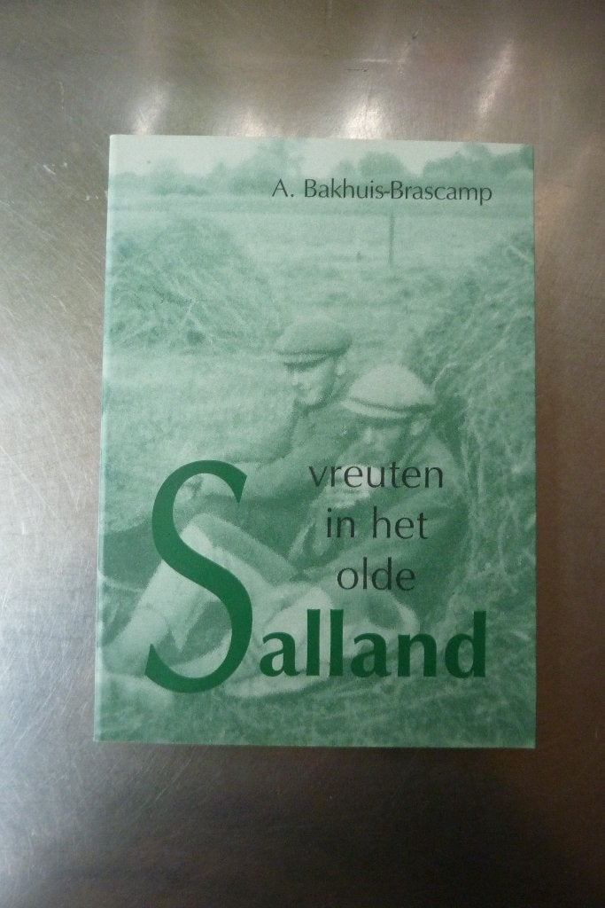 Vreuten in het olde Salland - A. Bakhuis-Brascamp, Boeken, Geschiedenis | Stad en Regio, Ophalen of Verzenden, Zo goed als nieuw