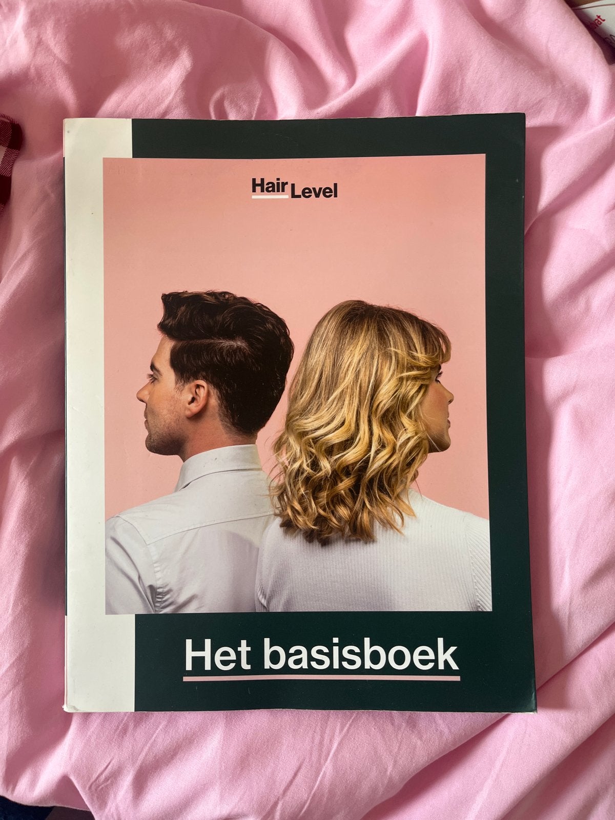 Hair Level Het Basisboek - Kappersopleiding 2025, Ophalen of Verzenden, Alpha, Zo goed als nieuw, MBO