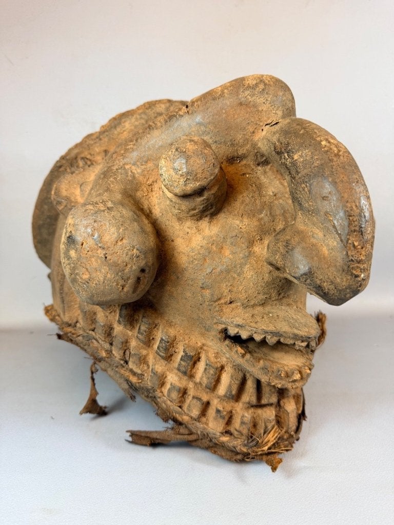 260892 - Very Old Afrikaans Mambila Turtle helm masker, Ophalen of Verzenden