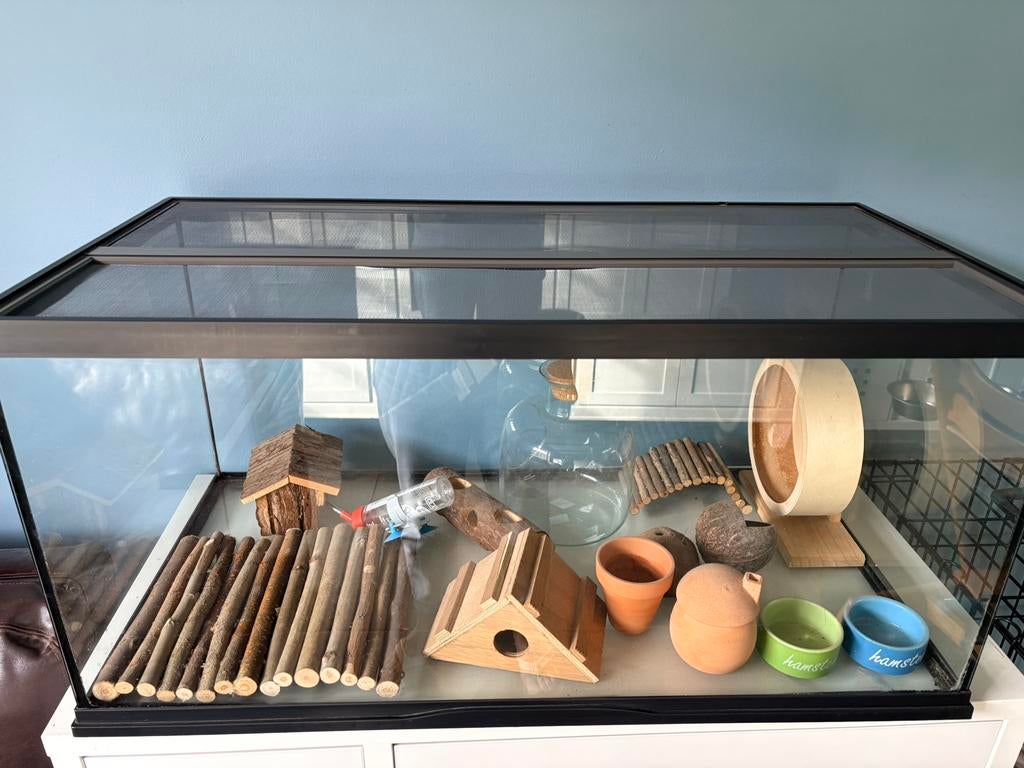 Hamsterkooi van glas incl. accessoires, Dieren en Toebehoren, Knaagdieren en Konijnen | Hokken en Kooien, Kooi, Muis, Zo goed als nieuw