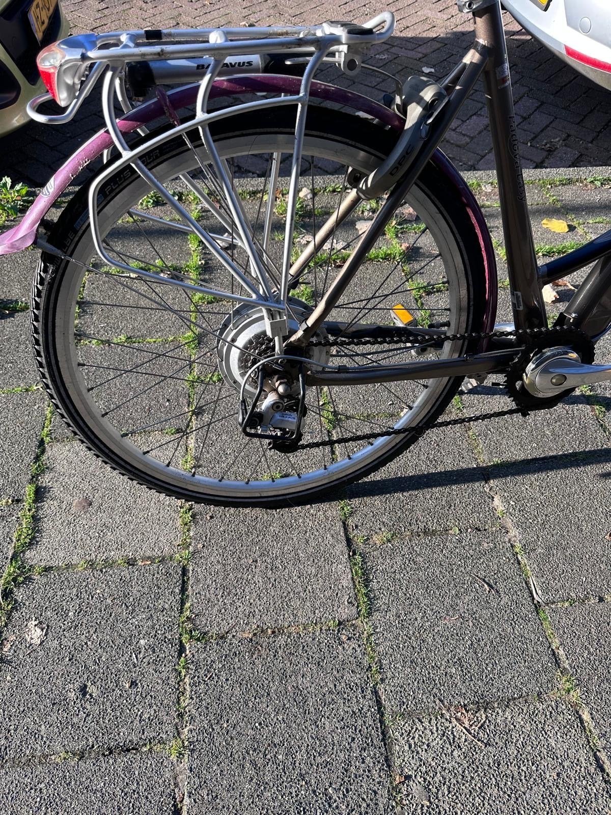 Batavus Padova Easy E-bike - Comfortabele elektrische fiets, Ophalen, Gebruikt, Batavus, 51 tot 55 cm