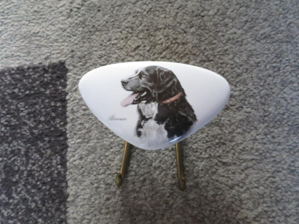mooie kapstok uit kunststof en koper 15/12 cm, Ophalen of Verzenden