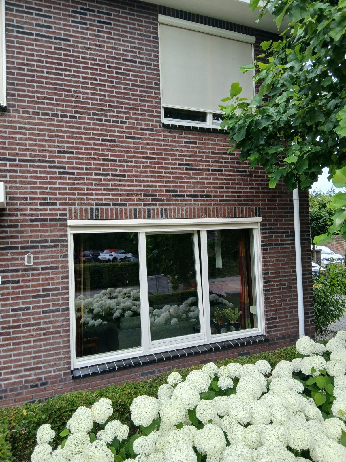 Rolluiken voor ramen - Diverse maten beschikbaar- screens, Doe-het-zelf en Verbouw, Rolluiken, Gebruikt, 100 tot 150 cm, 150 tot 200 cm