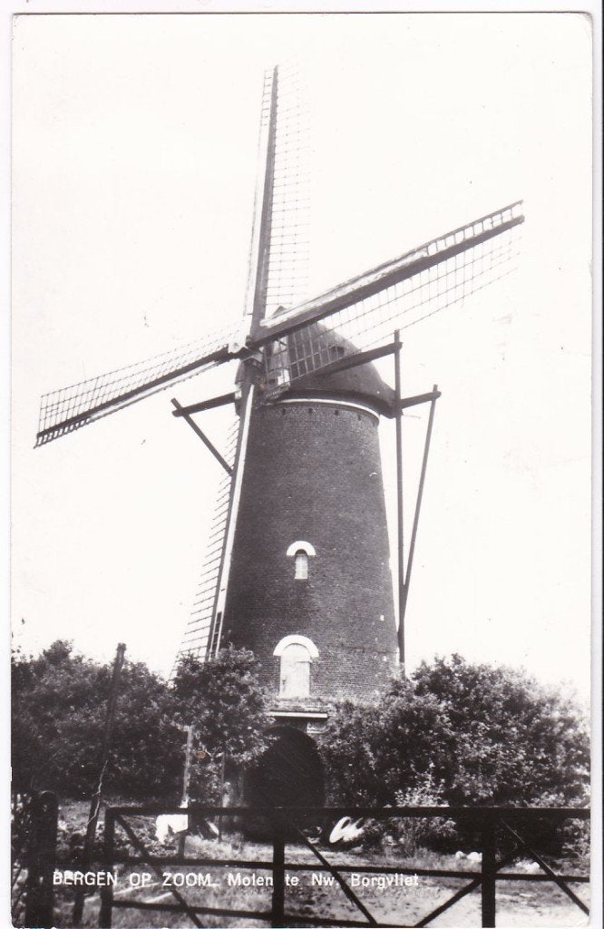 Bergen op Zoom Molen te Nieuw Borgvliet 1976 ., Verzamelen, Ansichtkaarten | Nederland, Ophalen, 1960 tot 1980, Ongelopen, Noord-Brabant
