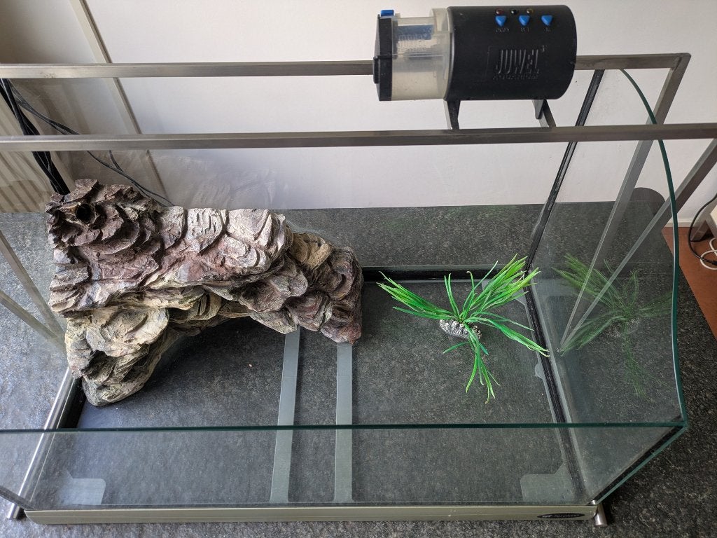 Ferplast schildpadden bak, Dieren en Toebehoren, Ophalen, Gebruikt, Terrarium of Paludarium
