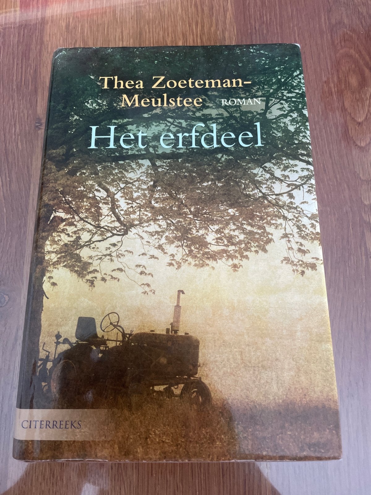Het erfdeel - Thea Zoeteman-Meulstee (Roman), Boeken, Ophalen of Verzenden, Gelezen