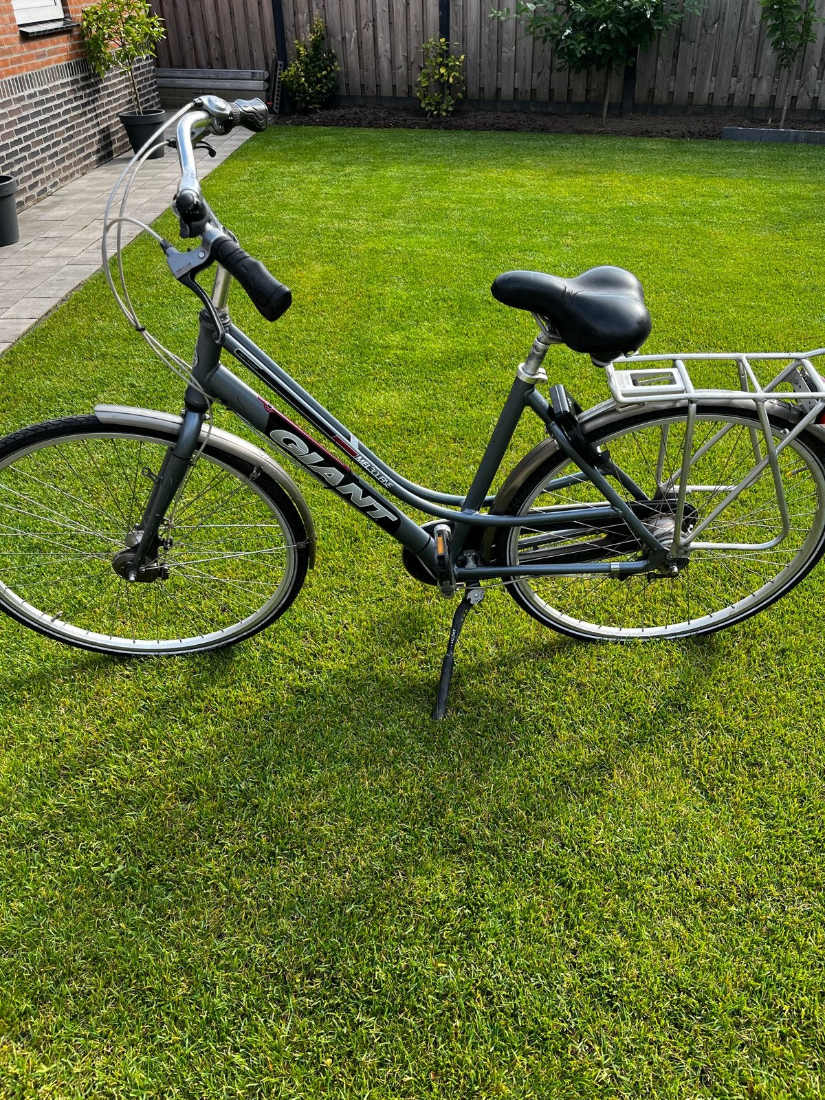 Giant Melbourne Damesfiets - 7 versnellingen, Ophalen, Velgrem, Versnellingen, Giant