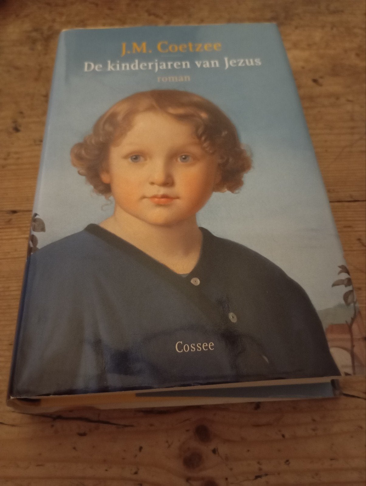 J M Coetzee De kinderjaren van Jezus Boek, Boeken, Ophalen of Verzenden