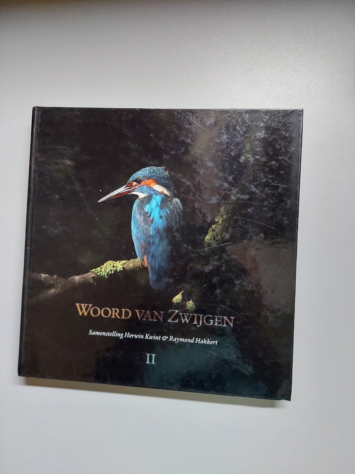 Woord van Zwijgen - deel II, Watersport en Boten, Hengelsport | Karpervissen, Ophalen of Verzenden, Zo goed als nieuw