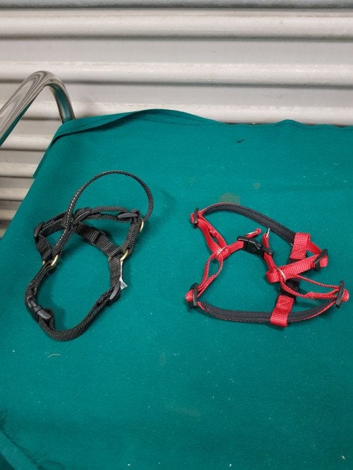 honden tuigjes, Ophalen of Verzenden, 'T Olde Gre-j, Info@toldegrej.nl, Endepoelstraat 20f Didam