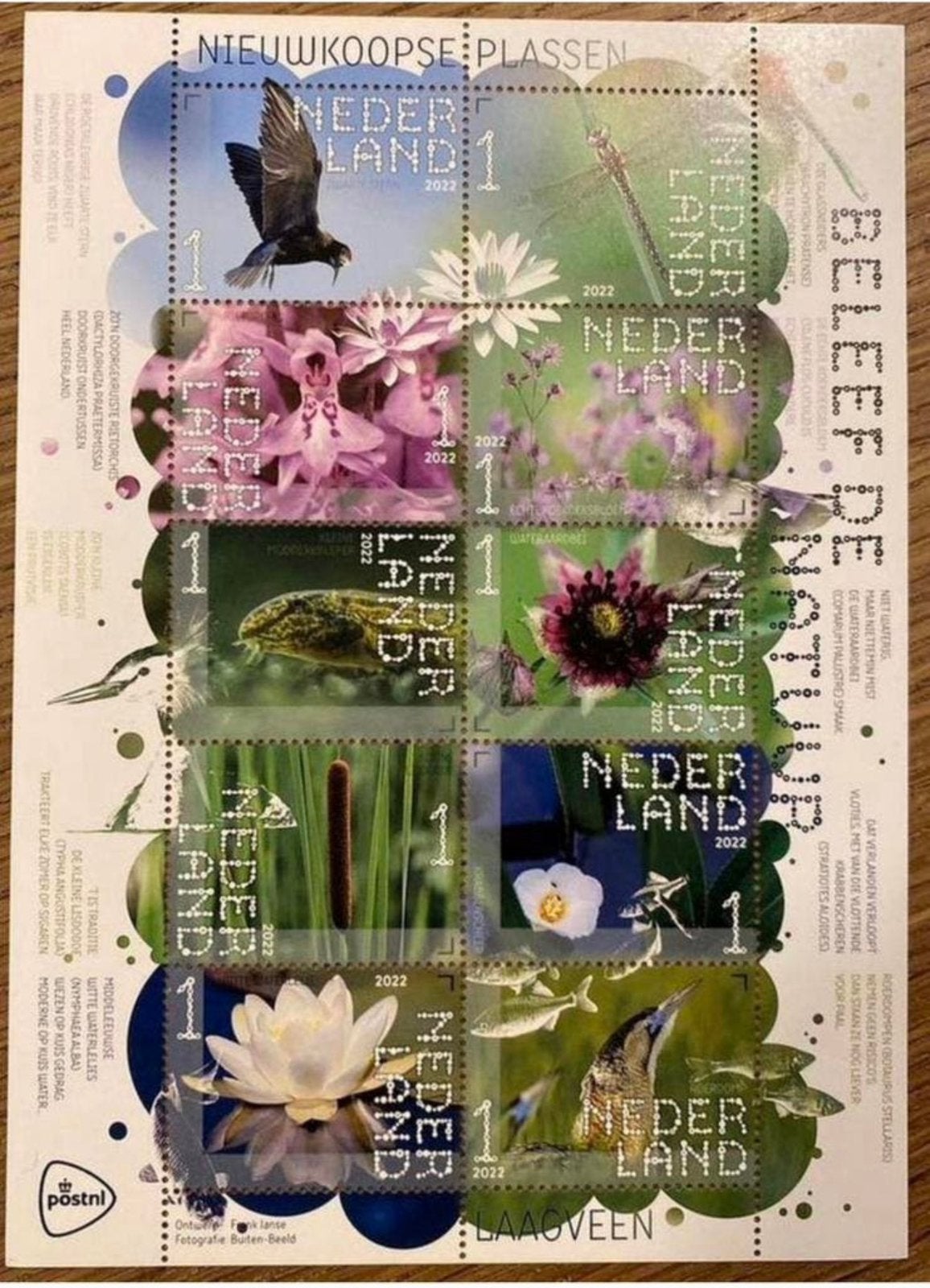 Postzegels pf. Beleef de natuur. Nieuwkoopse plassen, Postzegels en Munten, Ophalen of Verzenden, Na 1940, Postfris