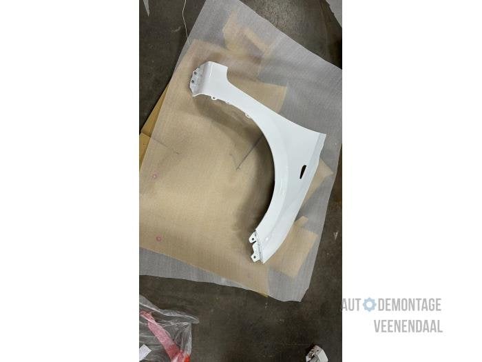 Scherm rechts-voor van een Hyundai I10 (BMS), Auto-onderdelen, -, -, Nieuw, Ophalen of Verzenden