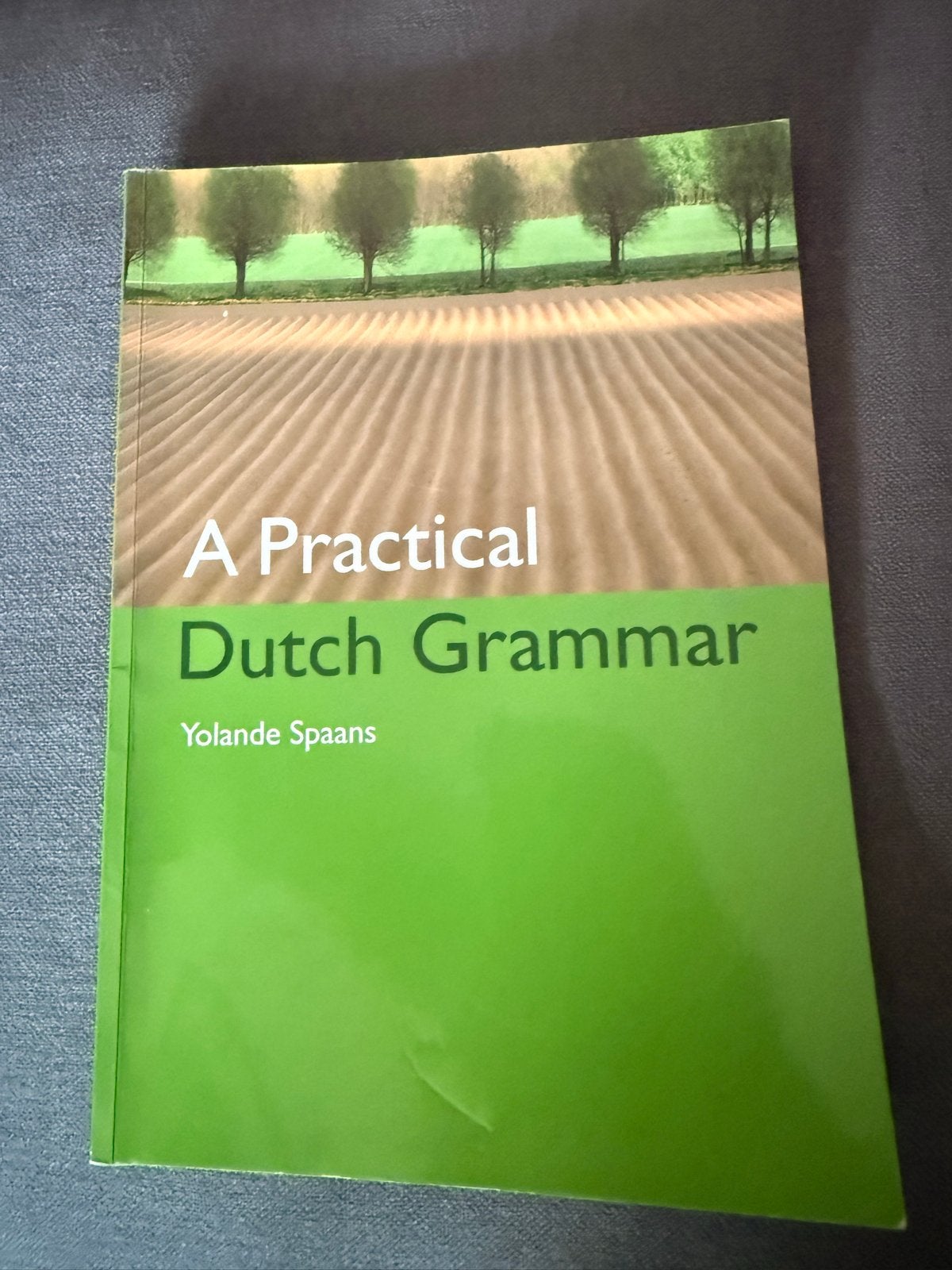 A Practical Dutch Grammar - Yolanda Spaans, Ophalen of Verzenden, Zo goed als nieuw, Non-fictie